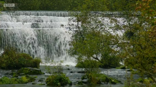 Whitehouse and Mortimer: Gone Fishing - Rainbow Trout - Derbyshire Wye - weir in the Monsal valley