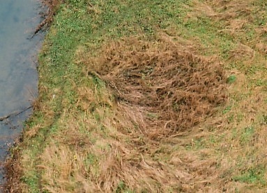 The scene in December 2002