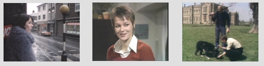 Images from from the first series of Survivors