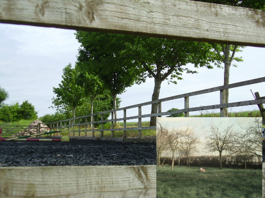 The rear of house in Corn Dolly where Charles chases and captures the piglet